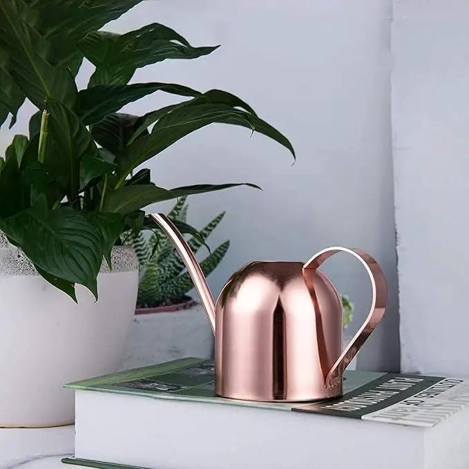 IMEEA Small Watering Can for Indoor Plants Stainless Steel Indoor Watering Can with Long Spout, 15oz/450ml by GreenHaven Gardens