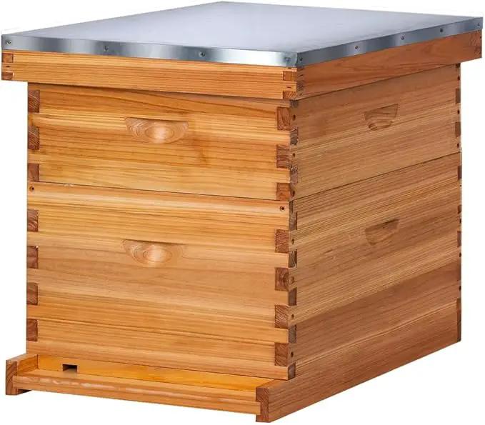 POLLIBEE 10 Frame Bee Hive,Beeswax Coated Beehive Kit for Bee Keeper,Complete Beehive Include 1 Deep Brood Bee Box and 1 Medium Bee Hive Box with Frame and Foundation by GreenHaven Gardens