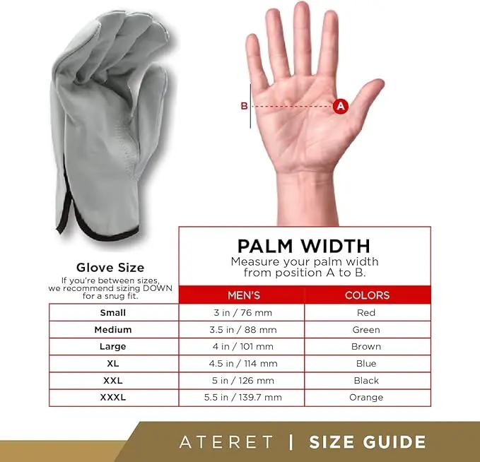 ATERET 12 Pairs Small Heavy Duty Durable Cowhide Leather Work Gloves I Driver Gloves for Truck Driving, Warehouse, Gardening, Farming by GreenHaven Gardens