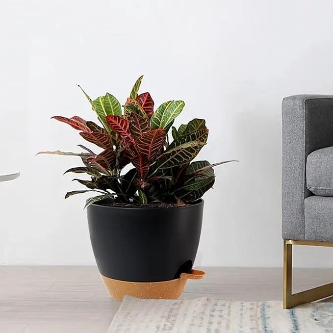 Large Self Watering Pots, 12/10/9 Plastic Planters with High Drainage Holes and Deep Reservoir for Indoor Outdoor Garden Plants and Flowers, Black with Brown by GreenHaven Gardens