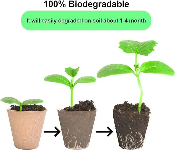 JERIA 50-Pack 3.15 Inch Peat Pots for Seedling with 50 Pcs Plant Labels,Outdoor Garden Germination Nursery Pots,Biodegradable Seed Starter Pots Kits by GreenHaven Gardens