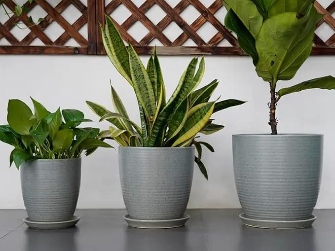 8 Inch Plant Pot Ceramic Planter Pot with Drainage Hole and Saucer Modern Round Flower Pot for Indoor Plants Light Gray by GreenHaven Gardens