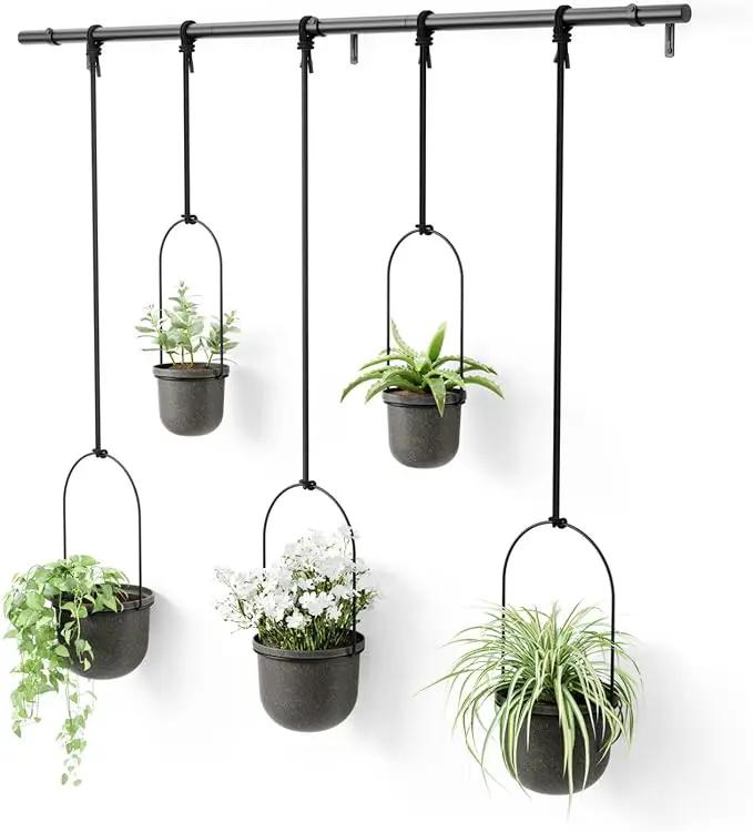 Umbra Triflora Hanging Planter for Window, Indoor Herb Garden, Set of 5, Black by GreenHaven Gardens