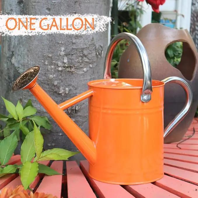 Metal Watering Can, One Gallon Watering Cans Stainless Steel for Outdoor Indoor Garden Plants Watering (Stainless Steel Handle Orange) by GreenHaven Gardens