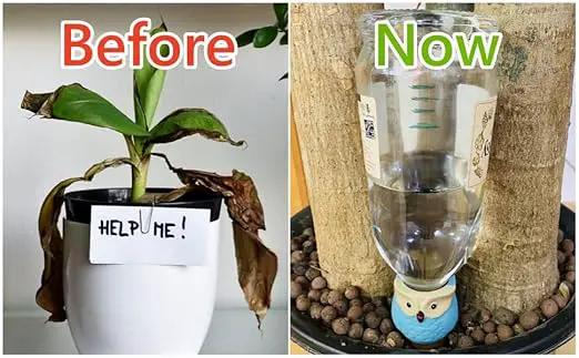 4 Pack Plant Watering Devices, Watering Can Shape Terracotta Watering Spikes, Vacation Self Watering Planter Insert, Automatic Plant Waterer for Indoor Outdoor Plants (Watering Cans) by GreenHaven Gardens