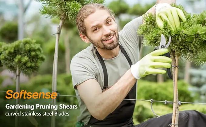 Garden Scissors for Plant, Tip Pruning Shears for Cutting Flowers, Trimming Plants, Bonsai and Fruits Picking (Black Bypass Blade Pruner) by GreenHaven Gardens