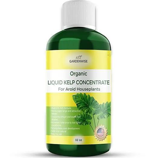 Organic Premium Seaweed Fertilizer - Liquid Kelp Plant Food for Aroid Houseplants: Monstera, Philodendron, Pothos, ZZ Plant, Dieffenbachia, Alocasia, Caladium (32 OZ) by GreenHaven Gardens