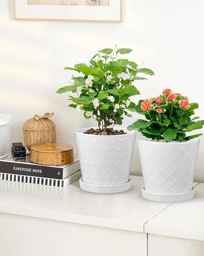 EFISPSS Ceramic Plant Pots, 6 Inch Pots for Indoor Plants, Planters with Drainage Hole and Saucer, Flower Pots Desktop Office Windowsill Decoration Gift Set of 2 - White by GreenHaven Gardens