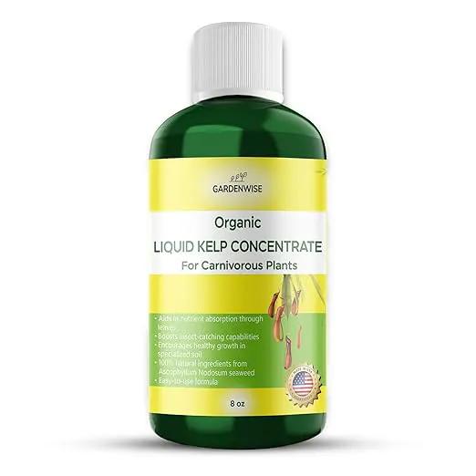 Organic Premium Kelp Seaweed Fertilizer: Indoor Plant Fertilizer & Carnivorous Plant Food for Venus Flytraps, Sundews, Drosera Capensis,Pitcher Plants,Butterworts & Other (8 OZ) by GreenHaven Gardens