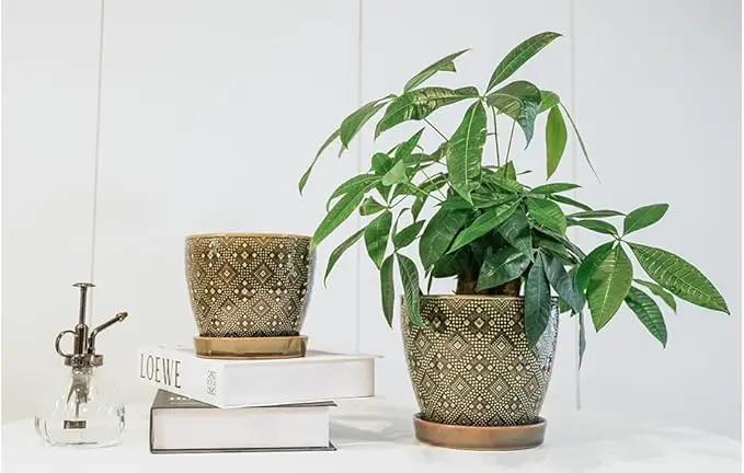Docrin Ceramic Plant Pots Indoor: 6.6 + 5.5 Inch Planters with Drainage Holes and Saucer for Home/Office - Set of 2 /Dark Green by GreenHaven Gardens