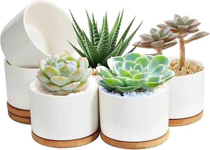 ZOUTOG Plant Pot 4 Inch, Ceramic Succulent Pots with Drainage Hole & Bamboo Tray, Pack of 6 White Small Flower Pots for Home, Office, Indoor or Outdoor Decor - Plants Not Included by GreenHaven Gardens