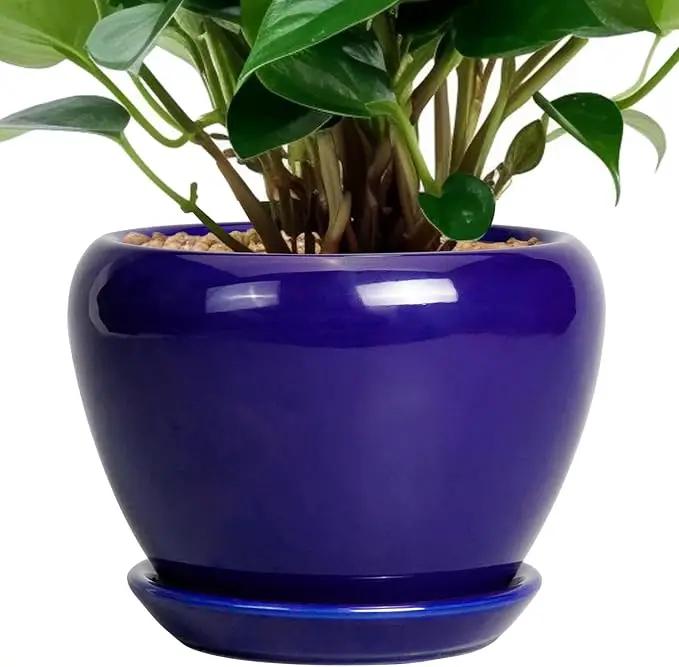 6 Inch Plant Pot - Ceramic Pots for Plants Succulent Pot with Drainage Hole and Saucer Round Planter Outdoor Flower Pot for Herb Snake Plants Blue by GreenHaven Gardens