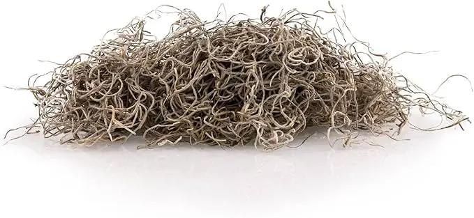 Premium Natural Spanish Moss | Natural Preserved - Great Ground Cover - Filler for Potted Plants - by GARDENERA - 4 Quart Bag by GreenHaven Gardens