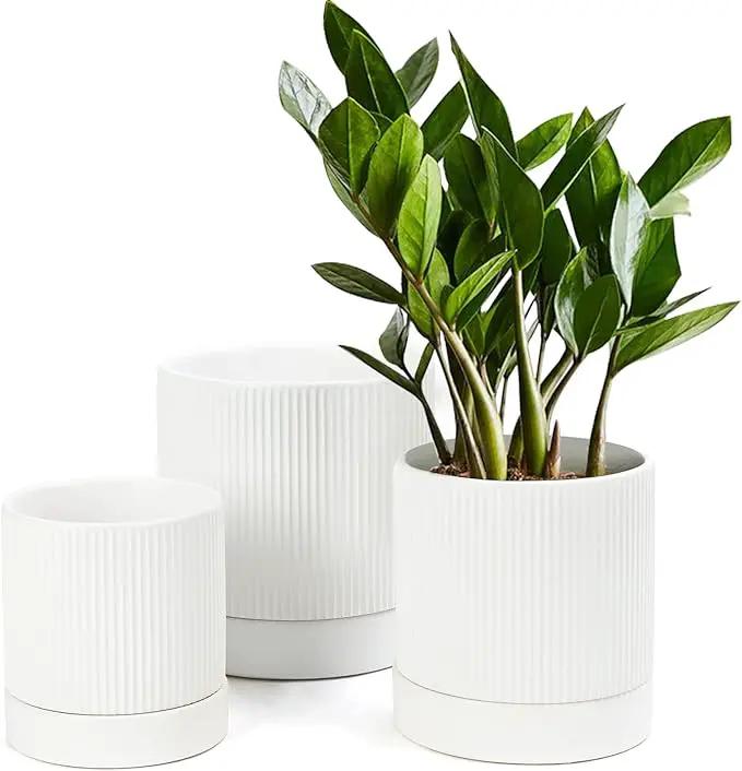 LaDoVita 3 Pack Ceramic Plant Pots 6/5/4 inch, Flowerpot for Indoor Plants with Drainage Holes and Tray, Outdoor Garden Planters, Modern Decorative for Home, White Vertical Stripes by GreenHaven Gardens