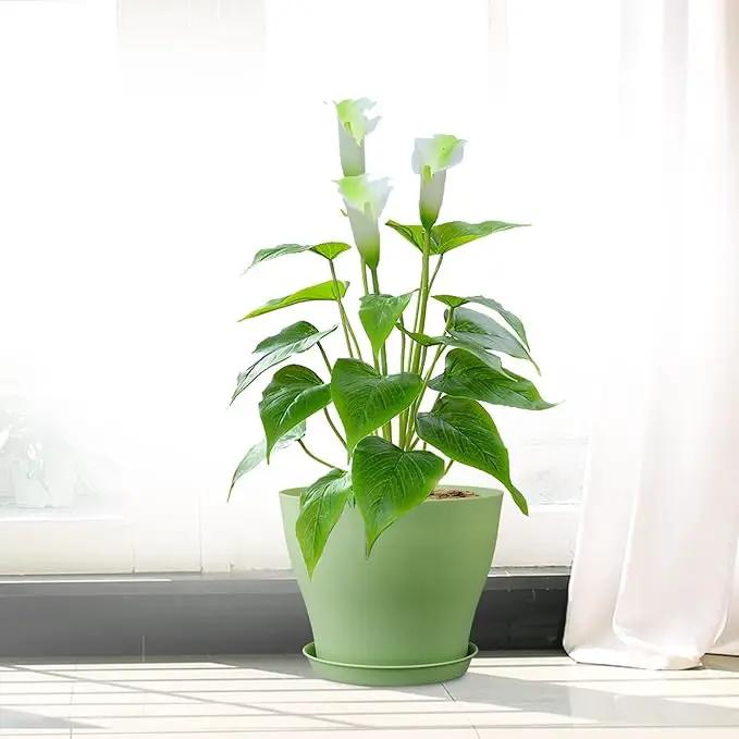 6 inch Plastic Nursery Pots, Seedling Pots, 16 Pack Plant Pots for Small Indoor Outdoor Plants, Flower Pots with Drainage Holes and Saucers, Decorative Planters for House Plants, Green by GreenHaven Gardens