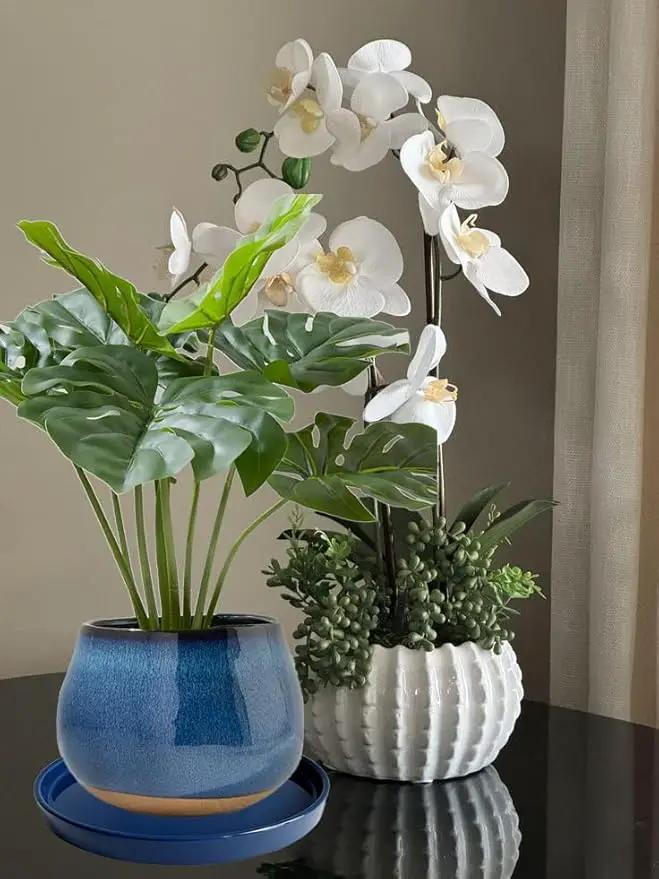 2 Pack Ceramic Plant Saucer Pot Tray 8 Inch, Planter Saucers 4 5 6 7 8 9 10 11 12 Inch for Indoors Outdoor, Durable Sturdy Flower Drainage Tray for Glazed Pots Base (8.5 Inch Blue) by GreenHaven Gardens