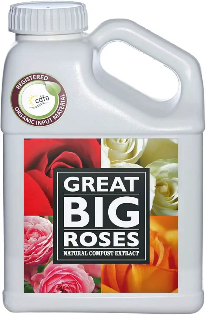 Great Big Roses – Soil and Rose Fertilizer Booster to Grow The Best Roses and Flowers; Rose Food Compost Extract for Rose Bush, 1 Gallon Concentrate (Makes 32 Gallons) by GreenHaven Gardens