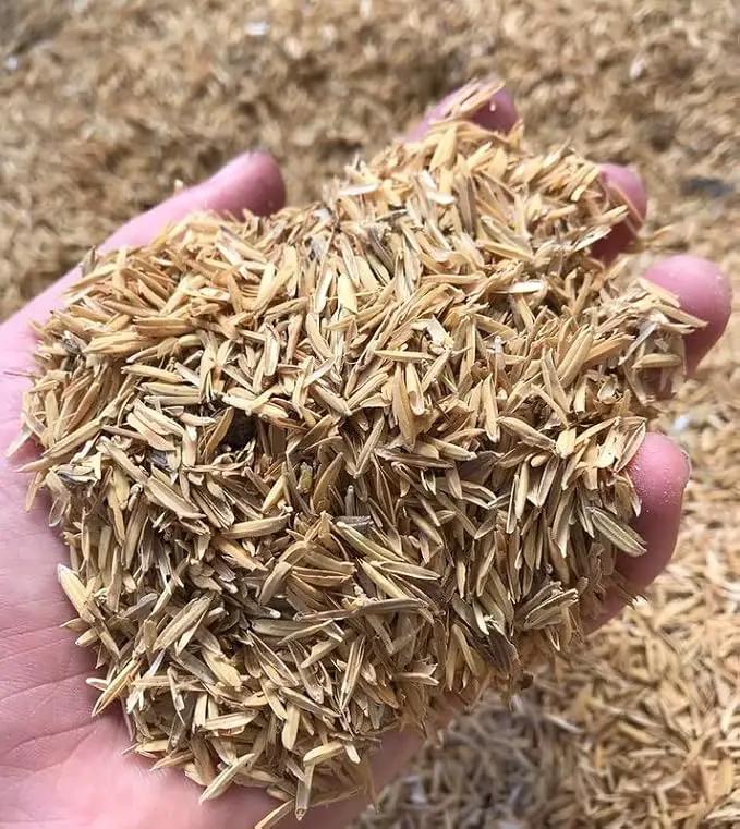 Premium Rice Hulls - Sustainable Gardening Essential for Improved Water Retention and Nutrient Absorption - 3 QUARTS by GreenHaven Gardens