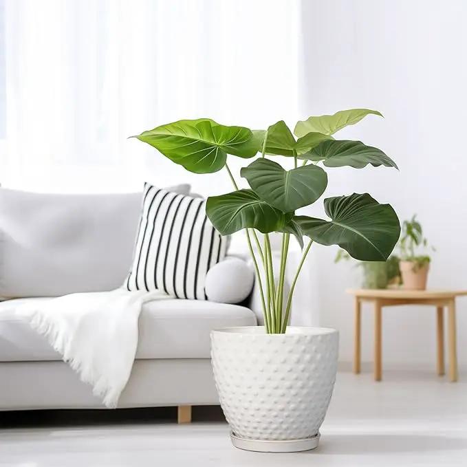 G EPGardening 8 Inch Plant Pot for Indoor Outdoor Plants Round Ceramic Planter Pot with Drainage Hole and Saucer Modern Large Flower Pot White by GreenHaven Gardens