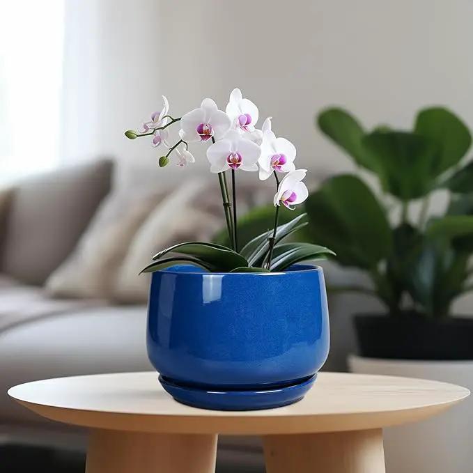 G EPGardening Round Ceramic Plant Pots - 7 Inch Modern Planter with Drainage and Plant Saucer for Indoor Outdoor Flower, Round Office Decor, New Gifts for Home, Blue by GreenHaven Gardens