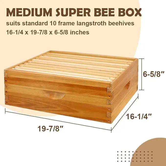 10 Frame Bee Hive Box, Langstroth Medium Super Bee Box Dipped in 100% Beeswax Include Beehive Frames and Waxed Foundation Sheets (Unassembled) by GreenHaven Gardens