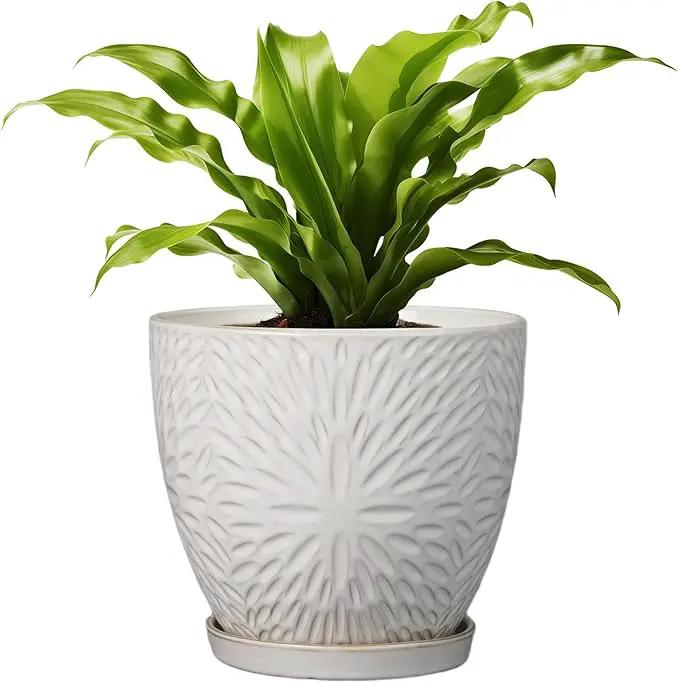 G EPGardening 8 Inch Ceramic Plant Pot with Drainage Hole and Saucer Round Planter Pot for Indoor Outdoor Plants Modern Large Flower Pot White by GreenHaven Gardens