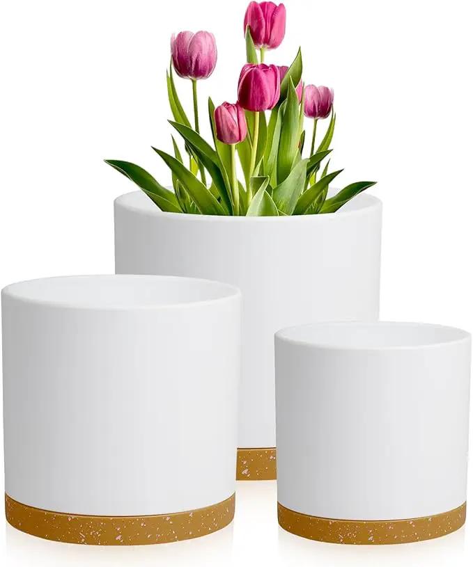 12/10/8 inch Large Flower Pots, 3 Pack Cylinder Deep Plant Pots for Outdoor Indoor Plants, Tall Plastic Planters with Drainage Holes and Saucers for Garden House Plants, White with Brown by GreenHaven Gardens