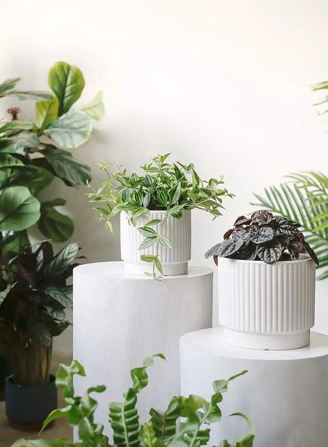 LE TAUCI Ceramic Pots for Plants, 8+6.7+5.5 Inch Plant Pots Indoor, Flower Pot with Drainage Holes, Medium Cylinder Planters for Indoor House Plants, Set of 3, White by GreenHaven Gardens