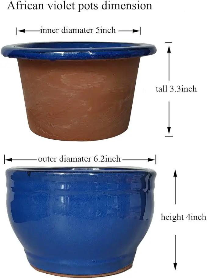 African Violet Pots Self Watering Round Ceramic Violet Pot (Blue, 6 inch) by GreenHaven Gardens