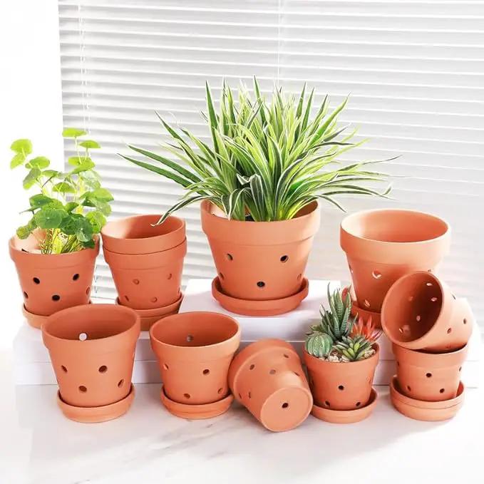 Fcacti 6 Inch Terracotta Orchid Pots with Drainage Holes and Saucers - 6 Pack Small Clay Orchid Planter Pots for Repotting, Plant Flower Pots for Orchid Indoor/Outdoor Promotes Air Circulation by GreenHaven Gardens