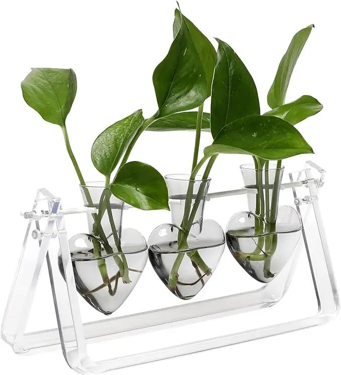 Plant Terrarium Propagation Stations with Wooden Stand Birthday Gifts for Women Plant Stand Indoor Office Home Decor by GreenHaven Gardens