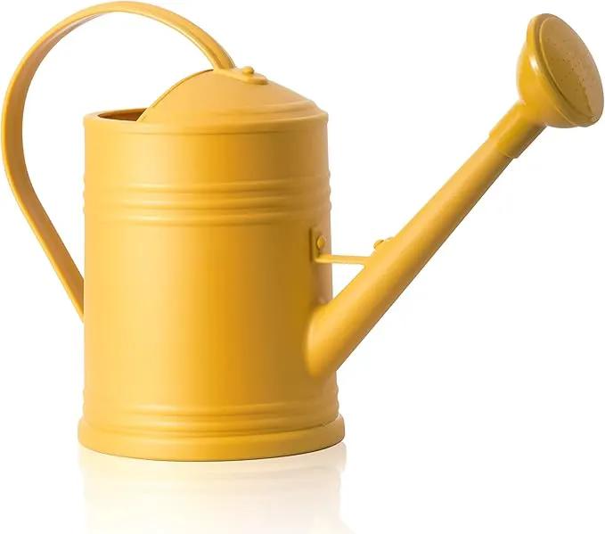 Plastic Indoor Watering Can with Detachable Sprinkler Head - 68oz (1/2 Gallon) for House Plants and Flowers by GreenHaven Gardens