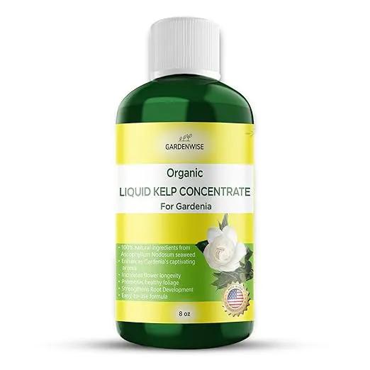 Organic Premium Kelp Seaweed Fertilizer for Gardenia - Liquid Fertilizer - Liquid Plant Food - Nutrient-Rich Soil Enhancer - Natural Plant Food for Gardenia Plant (8 OZ) by GreenHaven Gardens