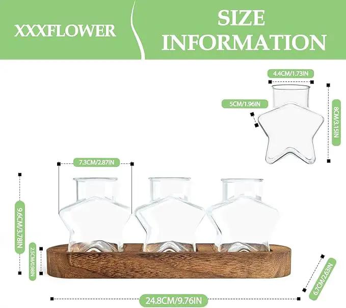 XXXFLOWER Plant Propagation Station with Wooden Stand，Air Plant Terrarium Starter Kits Star Vases for Flowers Plant Cutting Rooting Pots Indoor Hydroponic Glass Planter for Plant Lovers,3 Jars by GreenHaven Gardens