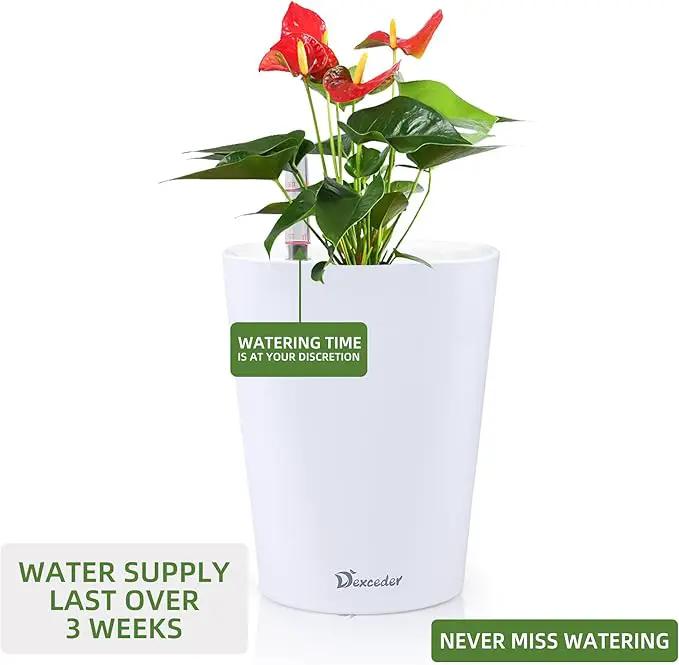 Dexceder 6x7 Self Watering Planter Indoor Outdoor, High Gloss Table Flower Plant Pot with Water Level Indicator (White) by GreenHaven Gardens