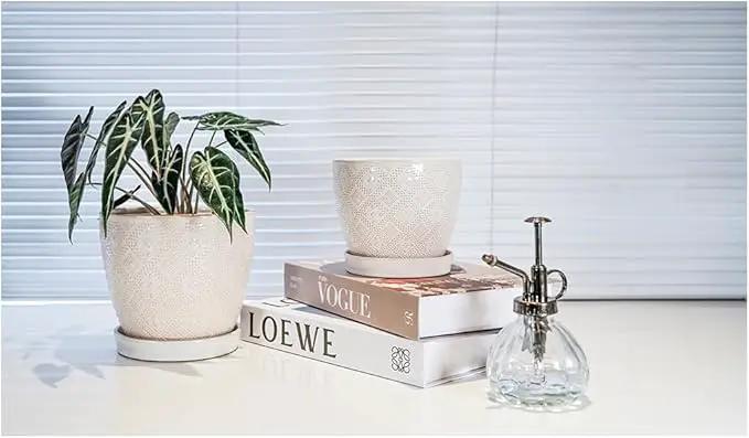 Docrin Ceramic Plant Pots Indoor, 6.6 + 5.5 Inch Planters with Drainage Holes and Saucer for Home/Office - Set of 2 /White by GreenHaven Gardens