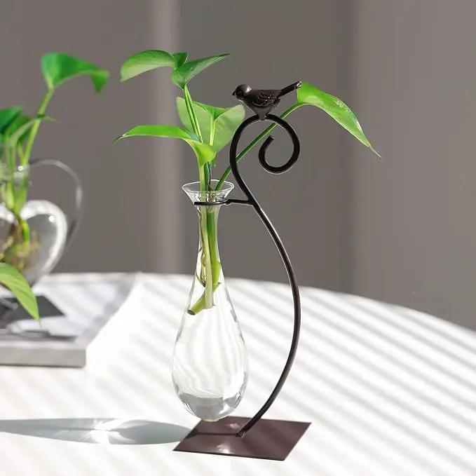 Marbrasse Desktop Glass Planter Hydroponics Vase,Planter Bulb Vase with Holder for Home Decoration,Modern Creative Bird Plant Terrarium Stand, Scindapsus Container (Water Drop Vase) by GreenHaven Gardens