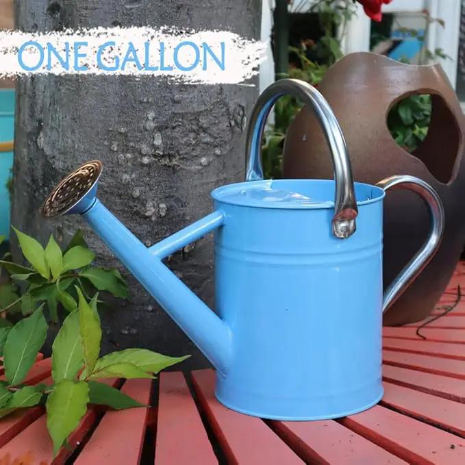 Metal Watering Can, One Gallon Watering Cans Stainless Steel for Outdoor Indoor Garden Plants Watering (Stainless Steel Handle Blue) by GreenHaven Gardens