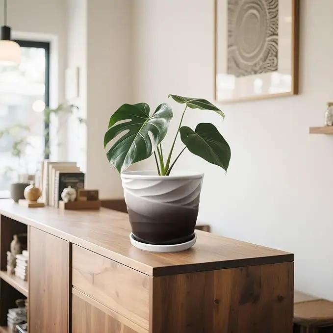 8 Inch Indoor Plant Pot with Drainage Holes and Saucers, Ceramic Planter for Plants, Succulent Orchid Flower Pots(Dark Gray+White) by GreenHaven Gardens