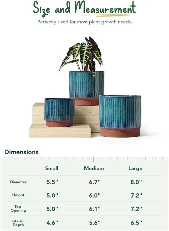 LE TAUCI Ceramic Plant Pots with Drainage Holes, Set of 3, 8+6.7+5.5 Inch Stripe Garden Planter Pots for Outdoor Indoor Plants Flower, Round Succulent Orchid Flower Pot, Reactive Glaze Green by GreenHaven Gardens
