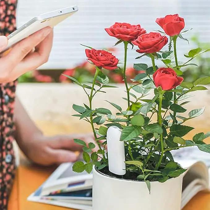 Soil Moisture Meter 4 in 1,Plant Water Monitor,Automatically detect Moisture/Temperature/Light/Fertility,Can Connect to Mobile Phone via Bluetooth,Hygrometer Sensor for Indoor Plants (1pc) by GreenHaven Gardens