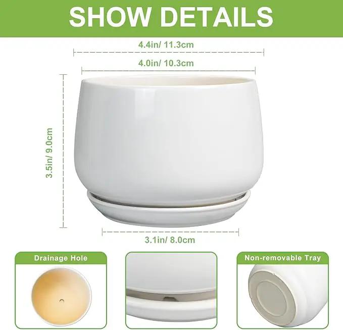 G EPGardening Ceramic Plants Pots - 4 inch Succulent Pots for Indoor Outdoor, Small Planter with Drainage Hole & Saucer, Round Planter, Modern Flower Pot, Office Decor, Plant Lovers Gifts, White by GreenHaven Gardens