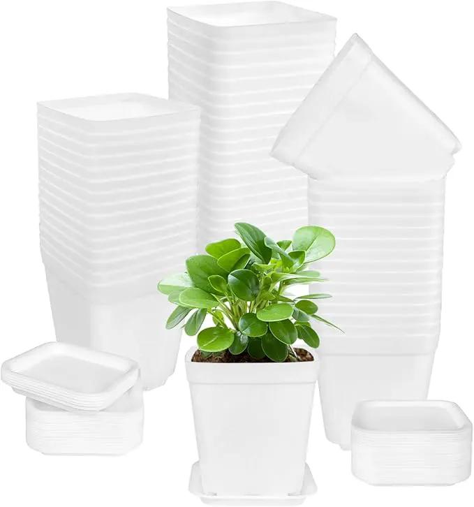 OJYUDD 72 Pcs 3 Inch White Square Plastic Pots with Saucer,White Plastic Plant Seedling Pots,Seedling Nursery Pots Indoor Outdoor for Succulents/Plant,Garden,Office and Balcony Decor by GreenHaven Gardens