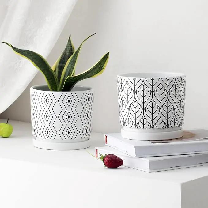 Ton Sin Plant Pots,5.5 Inch White Pots for Indoor Plants with Drainage Holes,Cylinder Flower Pot Ceramic Planters with Saucer,Cactus Succulent Outdoor Garden Pots Set of 4 by GreenHaven Gardens