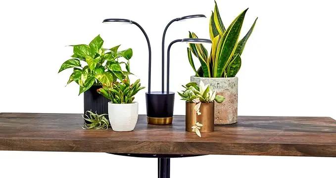 AeroGarden Trio Grow Light for Indoor Plants, Grow Live Plants Anywhere in The Home, Adjustable Light Modes, Black by GreenHaven Gardens
