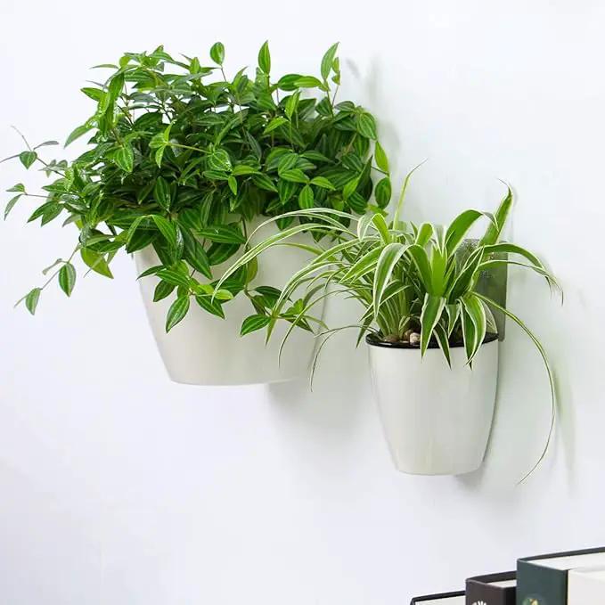 3 Packs 7.3" Plastic Self Watering Pots Wall Hanging Planters Wall Mounted Wicking Flower Pots for Indoor and Outdoor African Violet, Ocean Spider Plant, Orchid, White by GreenHaven Gardens