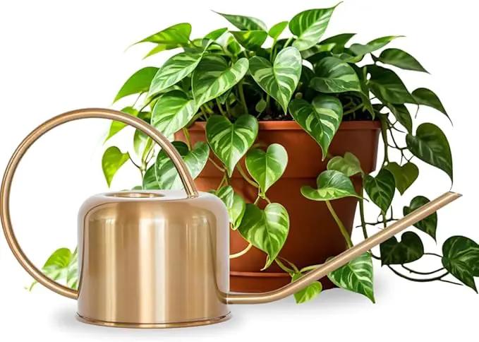 Stainless Steel Watering Can for Houseplants by Houseplant Resource Center | 1L Capacity for Indoor/Outdoor Plants in Brushed Gold by GreenHaven Gardens