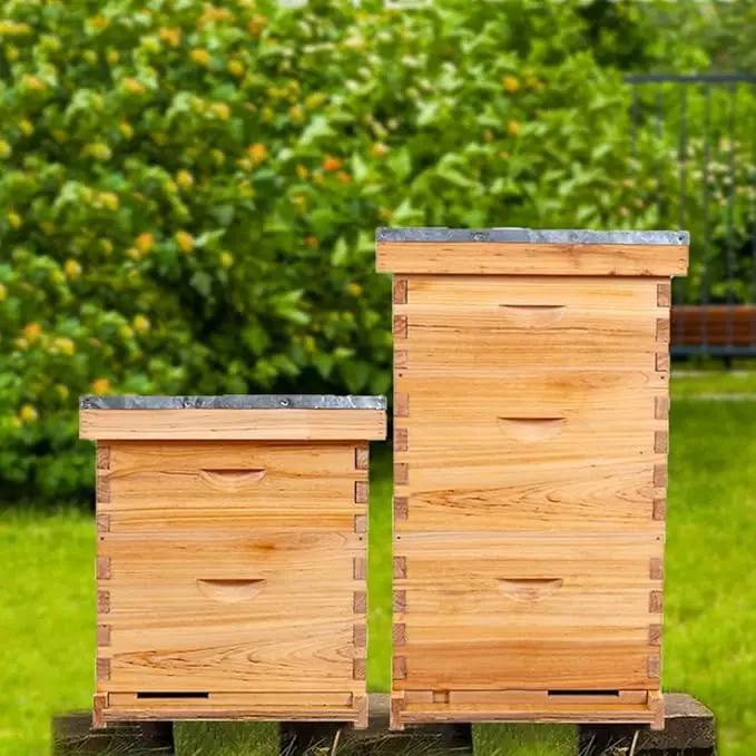 POLLIBEE 10 Frame Bee Hive,Beeswax Coated Beehive Kit for Bee Keeper,Complete Beehive Include 1 Deep Brood Bee Box and 1 Medium Bee Hive Box with Frame and Foundation by GreenHaven Gardens