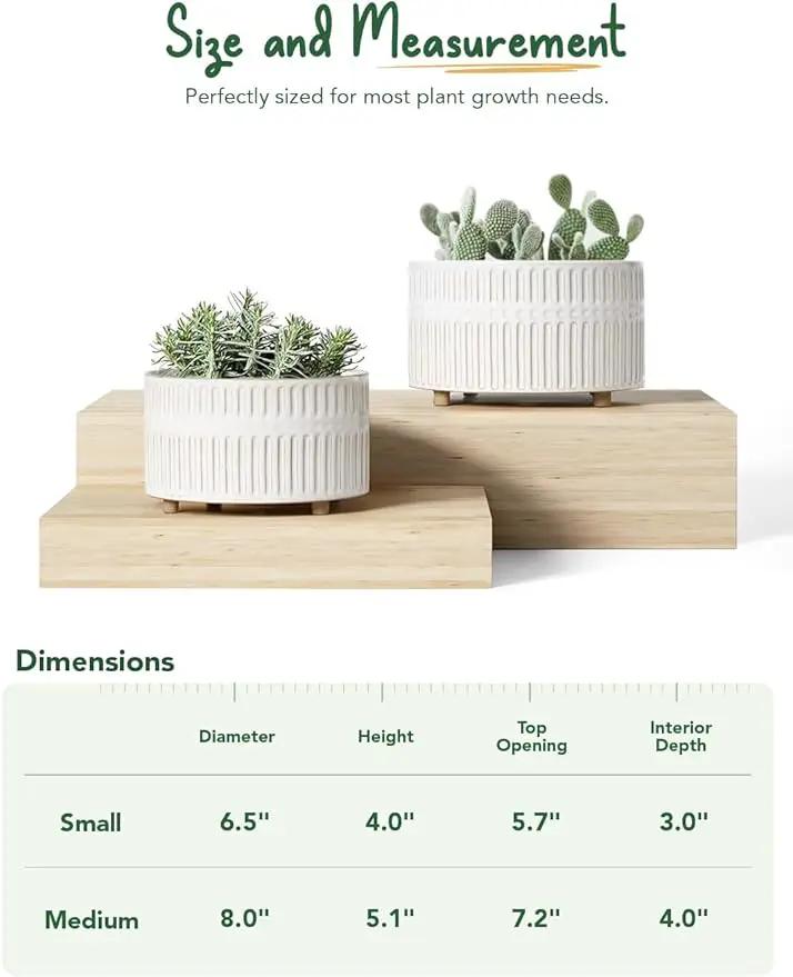 LE TAUCI Succulent Pots, 6.5+8 Inch Ceramic Indoor Plant Pot with Drainage Hole, Modern Round Decorative Flower Pot, Set of 2, Reactive Glaze White by GreenHaven Gardens