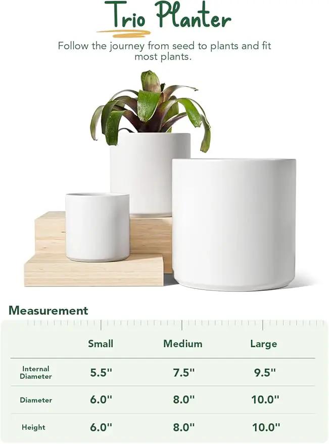 LE TAUCI Ceramic Plant Pots Indoor, 10 Inch 8 Inch 6 Inch Planters for Indoor Plants, Mid-Century Modern Flower Pots with Drainage Hole and Plug, Cylinder Round Planter Pots, Set of 3, White by GreenHaven Gardens